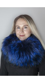 Electric blue Finnraccoon  fur neck warmer